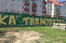 Siarka Tarnobrzeg - Find 2016-07-30
